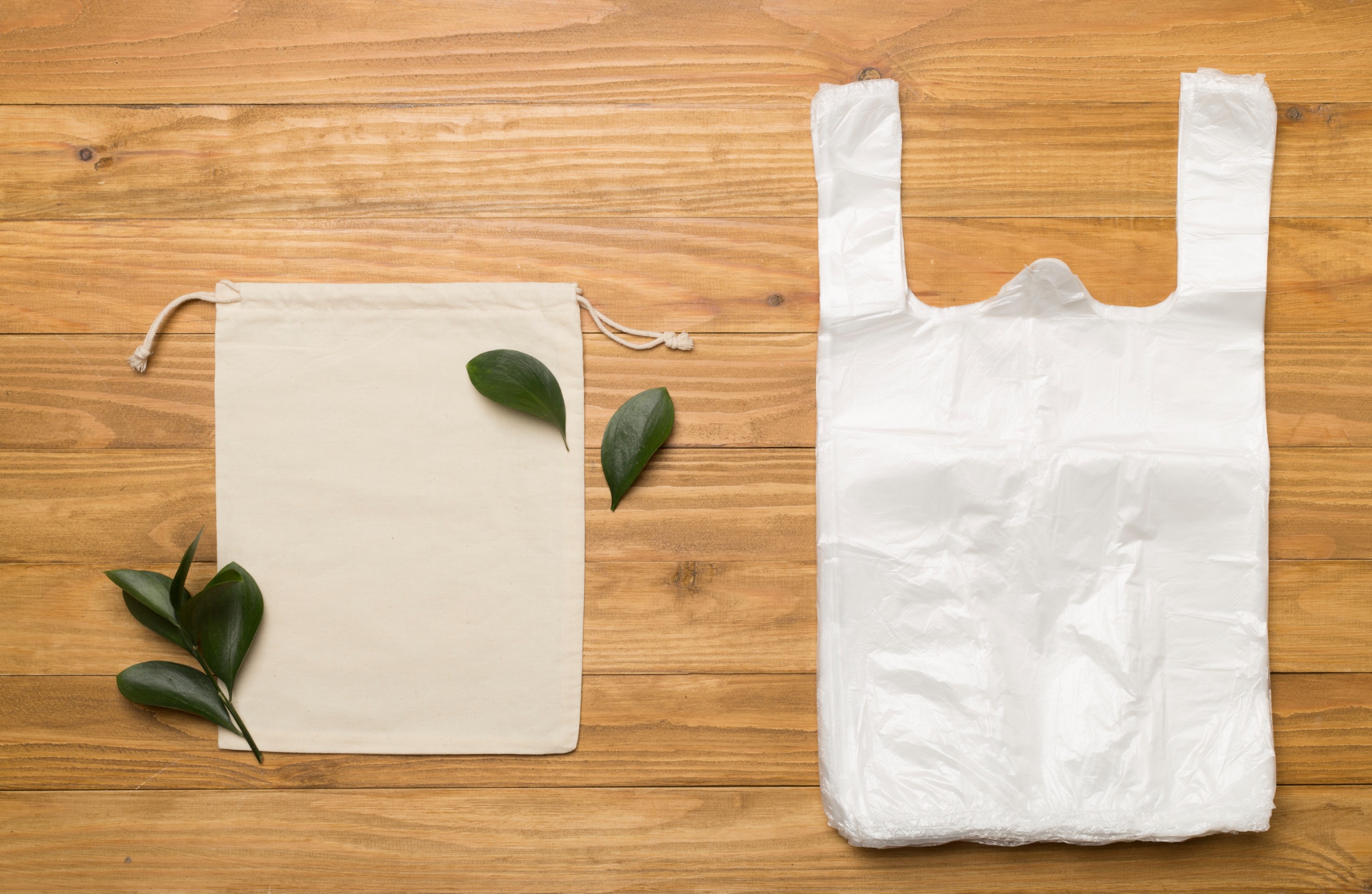 plastic bag plastic bag