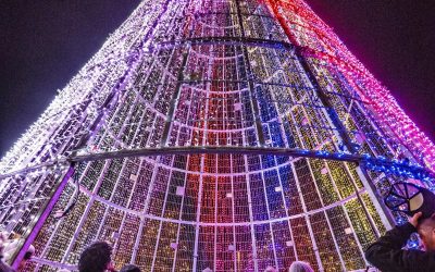 The Mile High Tree Presented by Xcel Energy & Xfinity