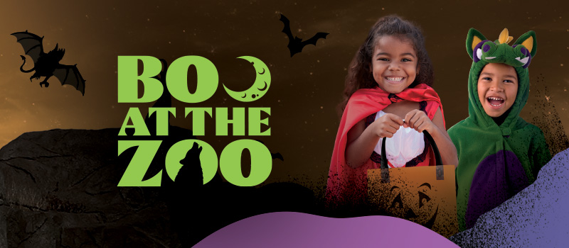 Boo at the Zoo Boo at the Zoo, Denver October 2026